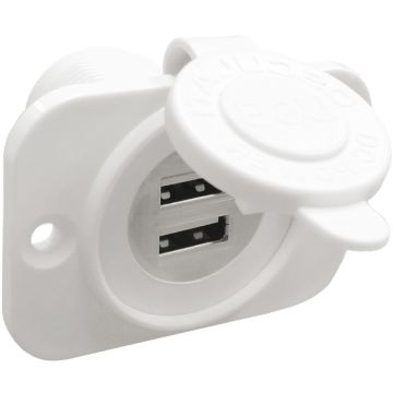 Double USB socket white rear nut + panel