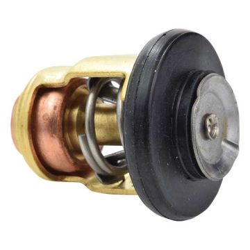 Termostaat EMP Yamaha F2.5-F100/T8-T60 60°C/140°F