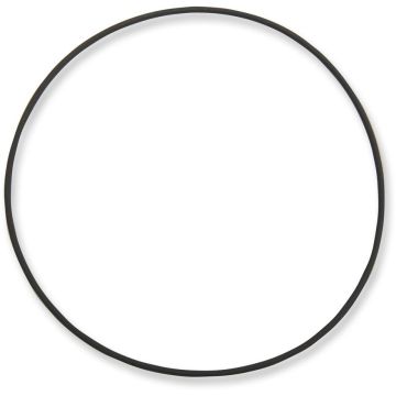 LARGE O-RING ALL CAM CVR