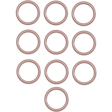 ORING DOWEL BASE 10PK