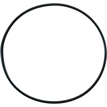 REPLCMNT O-RING 0940-0464