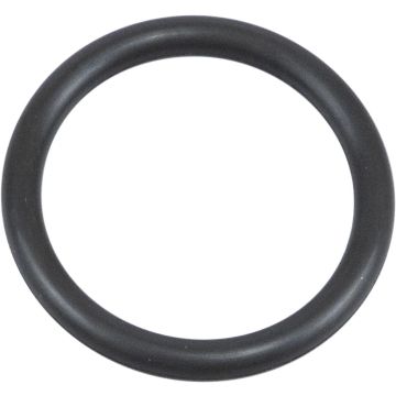 MANIFOLD O-RING 55-78 BT