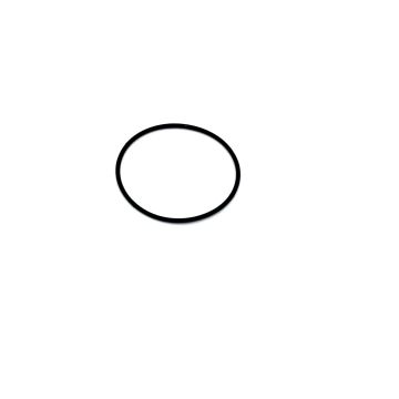 "BOSCH GEN4 O-RING"