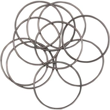 ORING INSPECTION CVR 10PK
