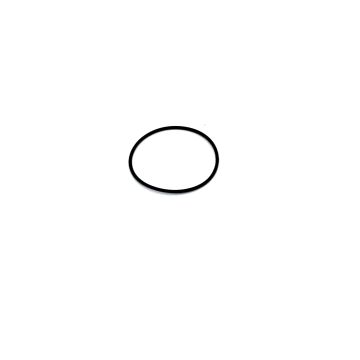 "BOSCH GEN3 O-RING"