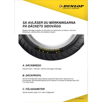 Rehv DUNLOP D254 130/60R19 61H TL Fr