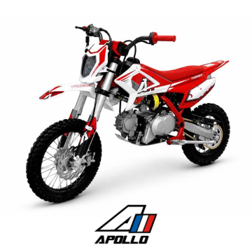 Pit Bike Premium Thunder 110cc 14-12 poolautom. elektri starter